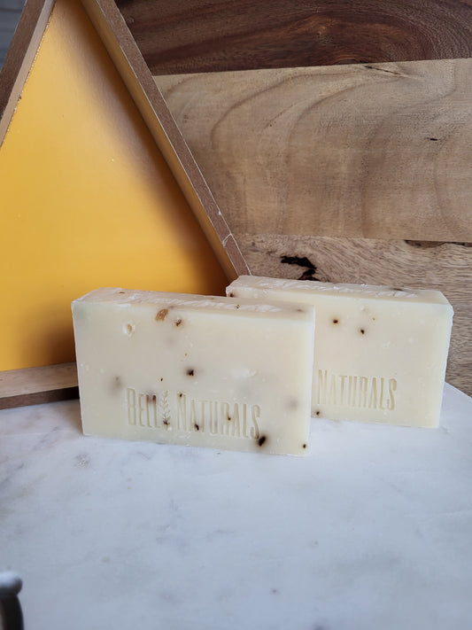 Eucalyptus Aloe Body Bar